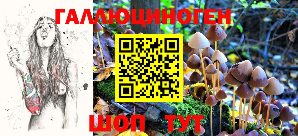 Псилоцибиновые грибы мицелий  Вход с VPN  Архангельск 
