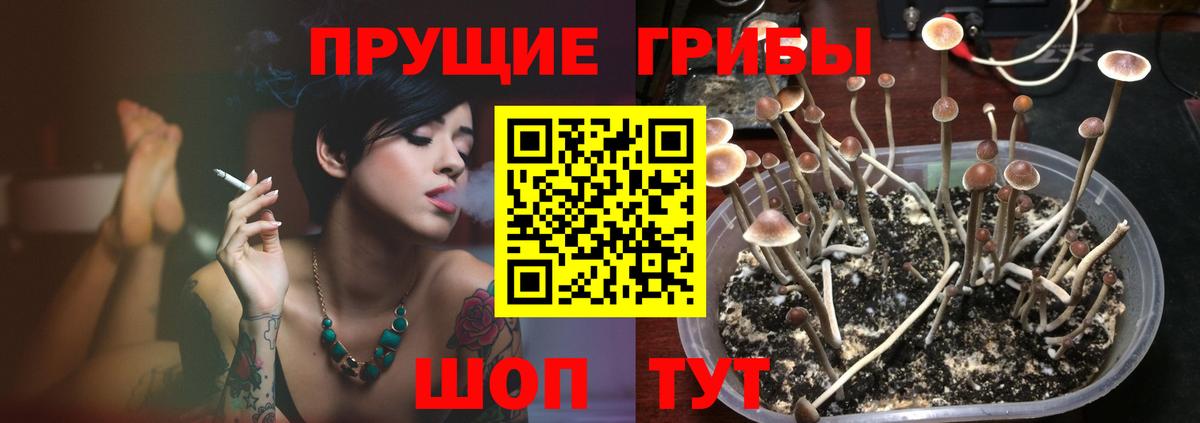 Галлюциногенные грибы MAGIC MUSHROOMS Архангельск